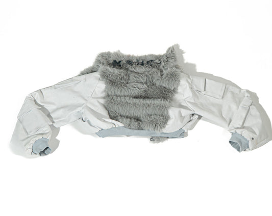 LOUIS_DE_LA_FORGE_02